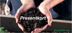 Presentkort