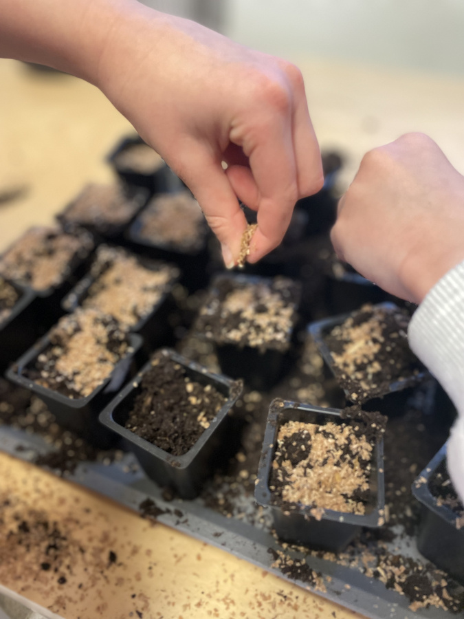 Svenskt Bokashiströ, 3 x 1 kg 