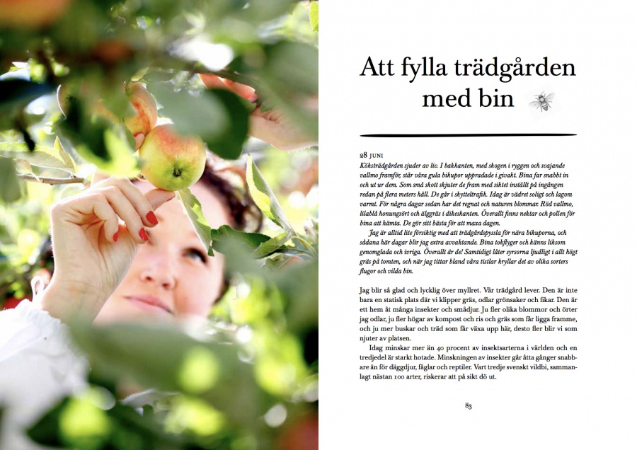 Elins bin - om biodling, honung, bivax och business