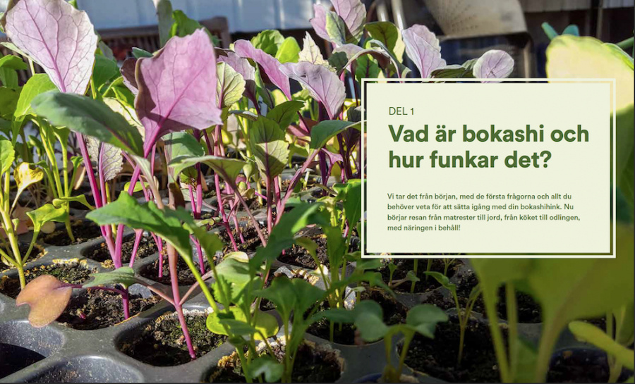 Stora boken om Bokashi